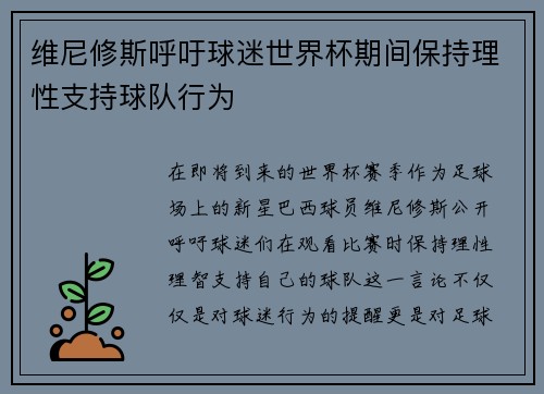 维尼修斯呼吁球迷世界杯期间保持理性支持球队行为